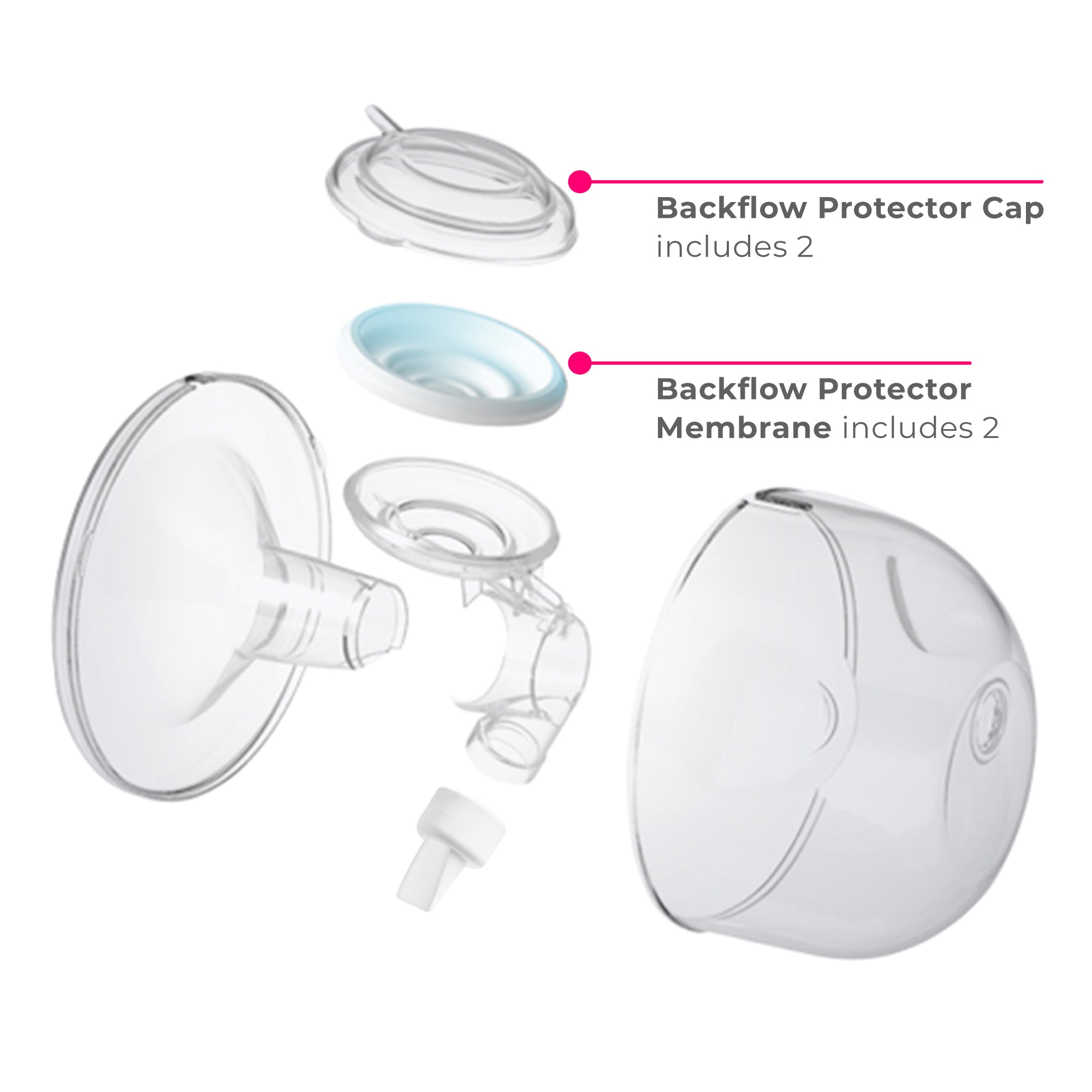 CaraCups Backflow Protector Replacement Kit - Image 3